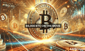 Kelvin Btc 1000x600.png