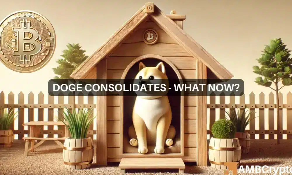 Lennox Doge 1 1000x600.webp.webp