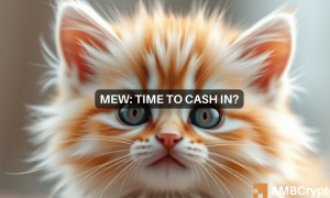 Maxwell Mew 1000x600.png