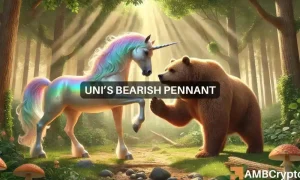 Maxwell Uni 1000x600.webp.webp