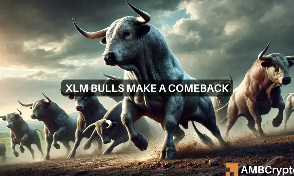 Michael Xlm 1000x600.webp.webp