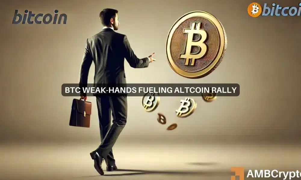 Newsarticlesfiritika 2 1000x600.webp.webp