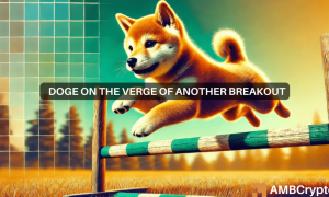 Olivia Doge 1000x600.png
