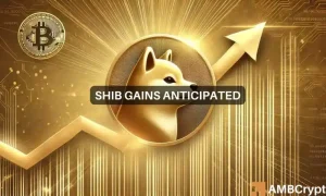 Shib Featured 1000x600.webp.webp