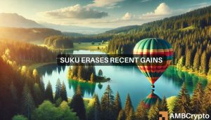Sukucrypto.jpg