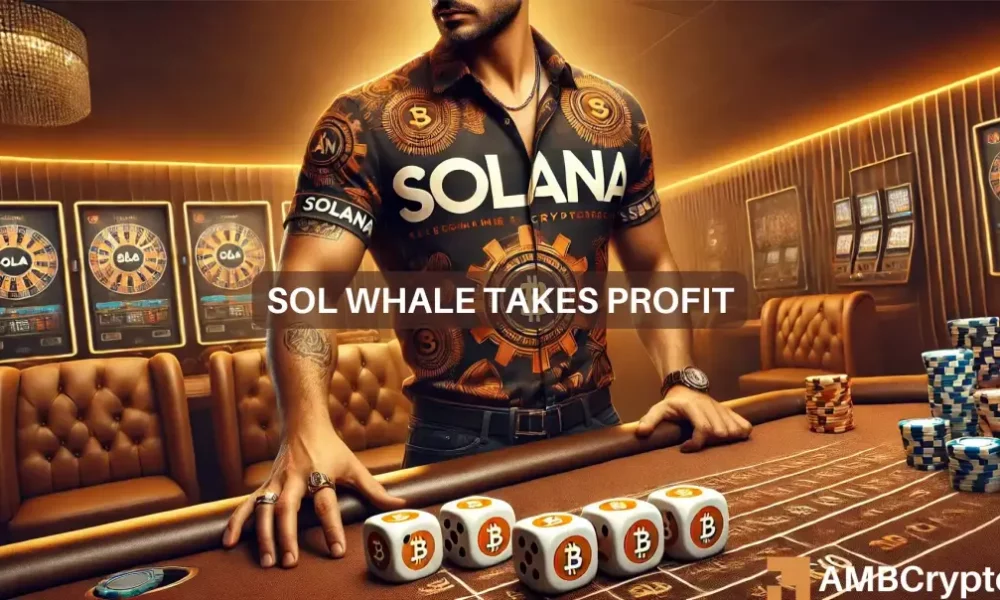 Solana 1 1 1000x600.webp.webp