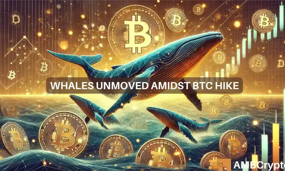 Whales Unmoved Amidst Btc Hike 1000x600.webp.webp