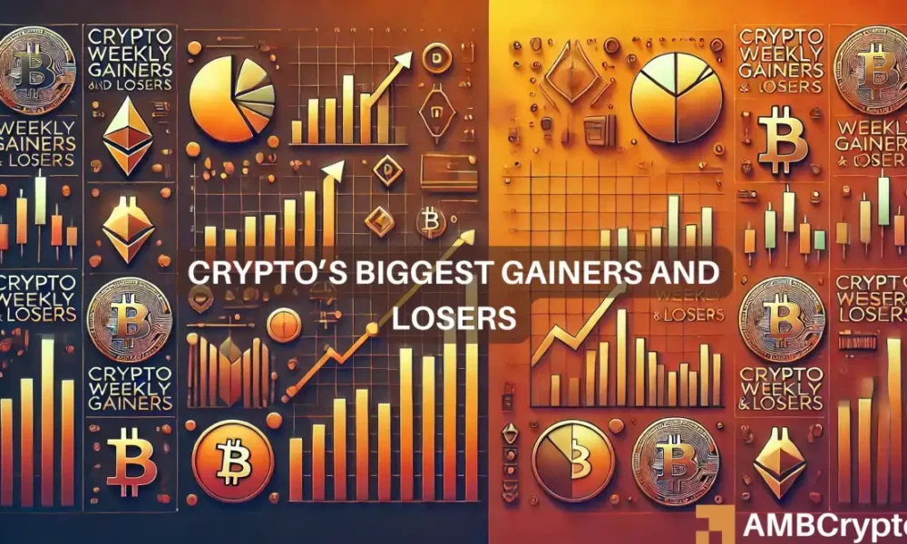 Winners And Losers 1 1000x600.webp.webp