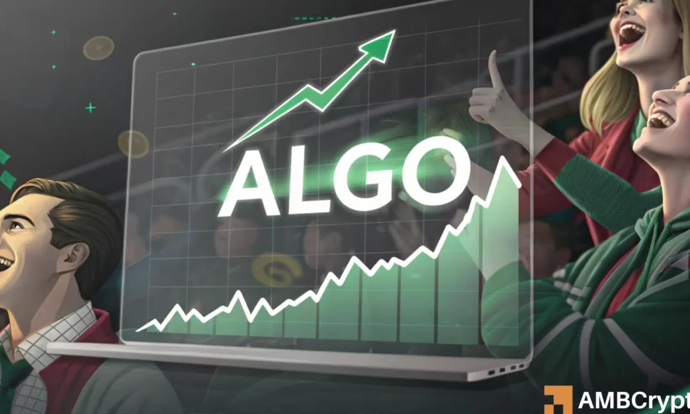 Algo 1 1000x600.webp.webp