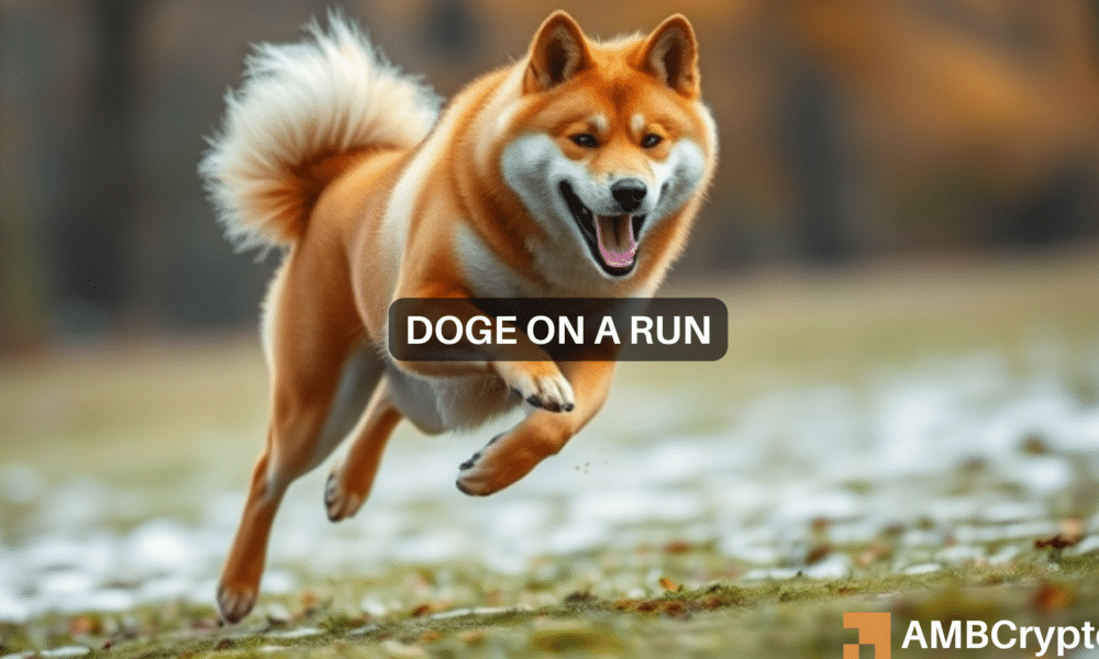 Abdul Doge 1000x600.png