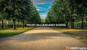 Cardano Tvl.jpg