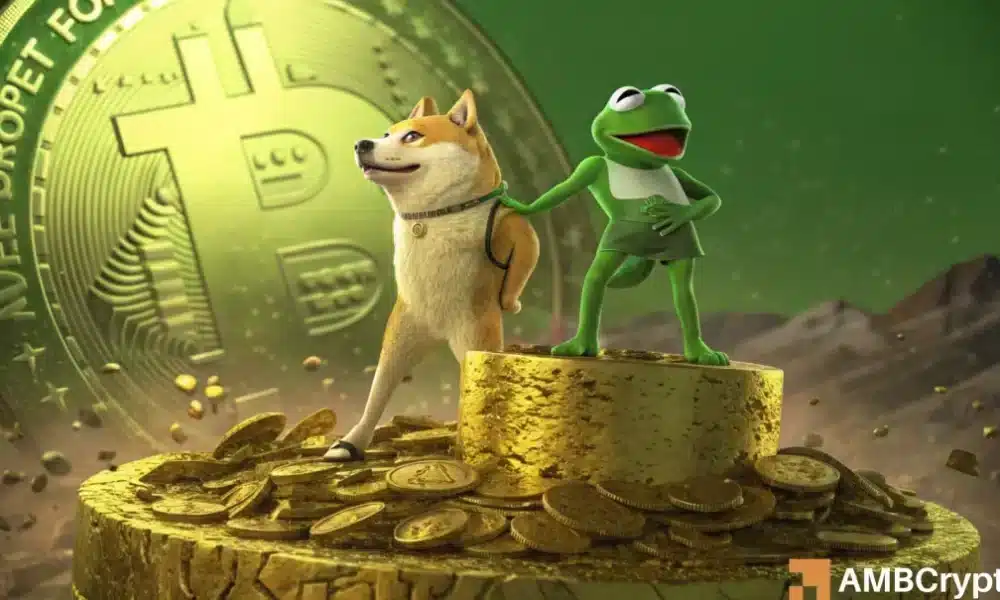 Dogecoin Featured 1000x600.webp.webp