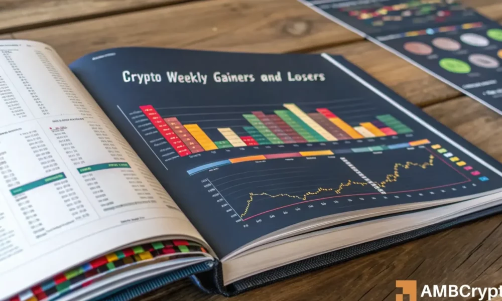 Gainers And Losers 1 1 1000x600.webp.webp