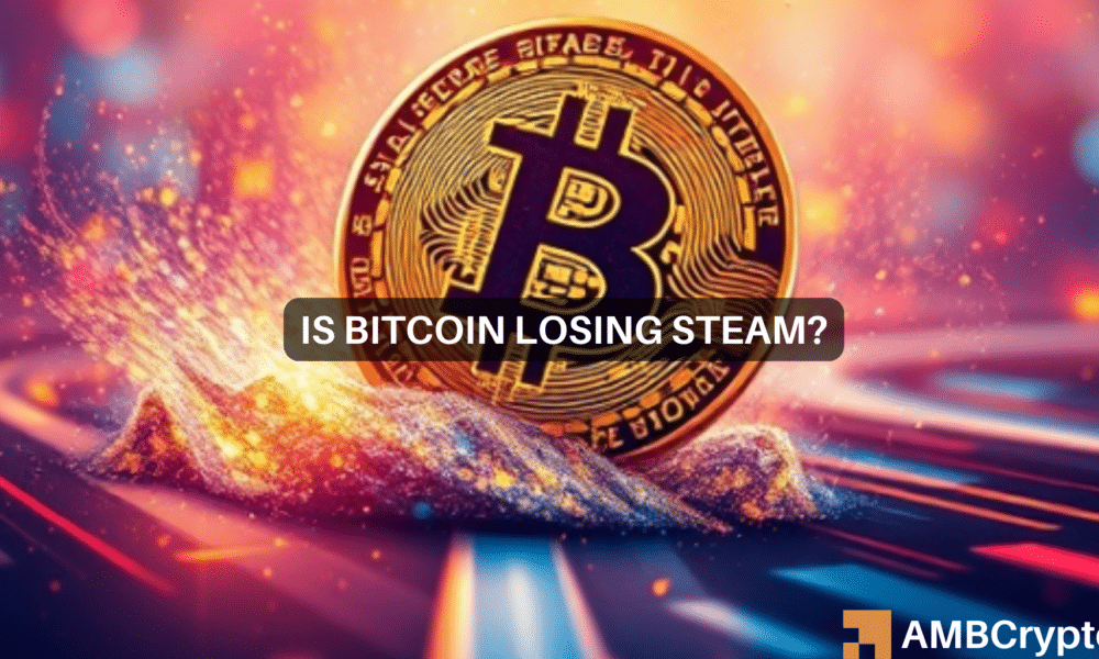 Michael Btc 4 1000x600.png