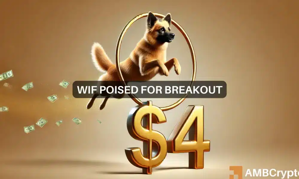 Newsarticlesfiritika 4 1000x600.webp.webp