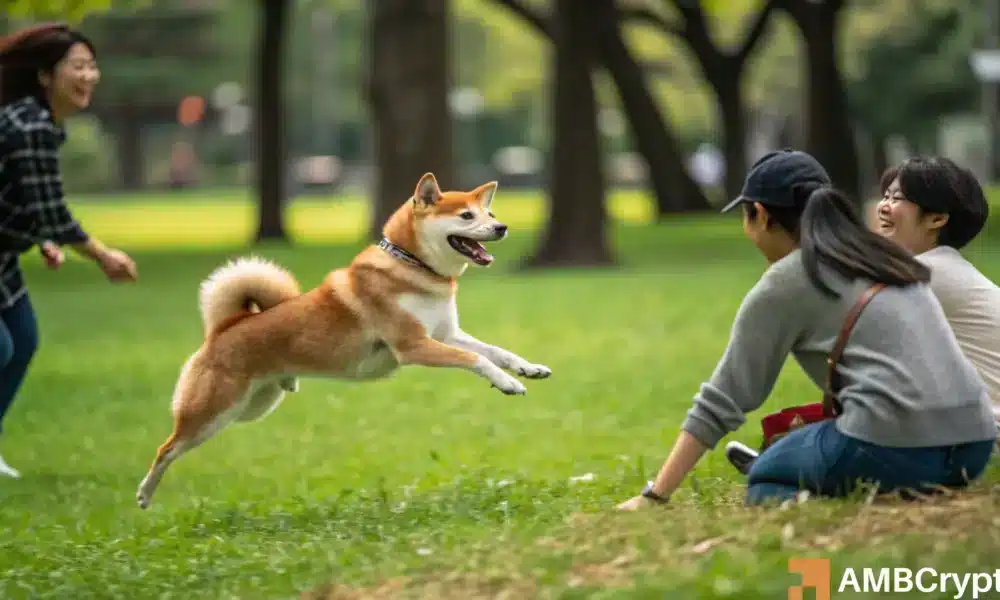 Shiba Inu Metaverse Is Here 1000x600.webp.webp
