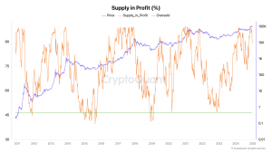 Supply In Profit .png