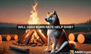 Will High Burn Rate Help Shib 1000x600.webp.webp