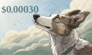 A Dog Looking At The Sky Labelled 0 00030 1 1000x600.webp.webp