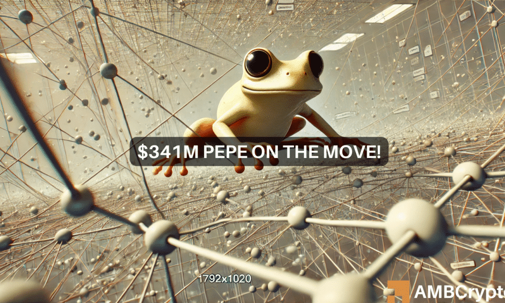 Canva Pepe 1000x600.png