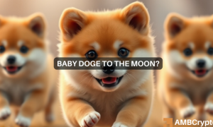 Doge 1000x600.png