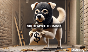 Ski Canva 1000x600.png