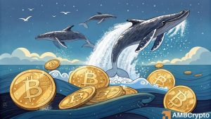 Bitcoinwhalefi.jpeg