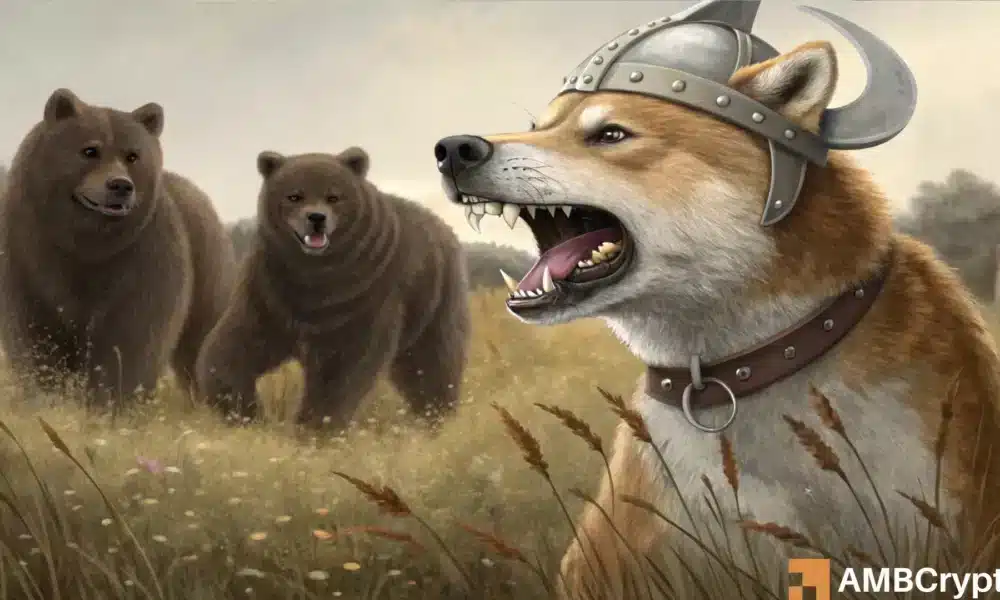 Floki 1 1000x600.webp.webp