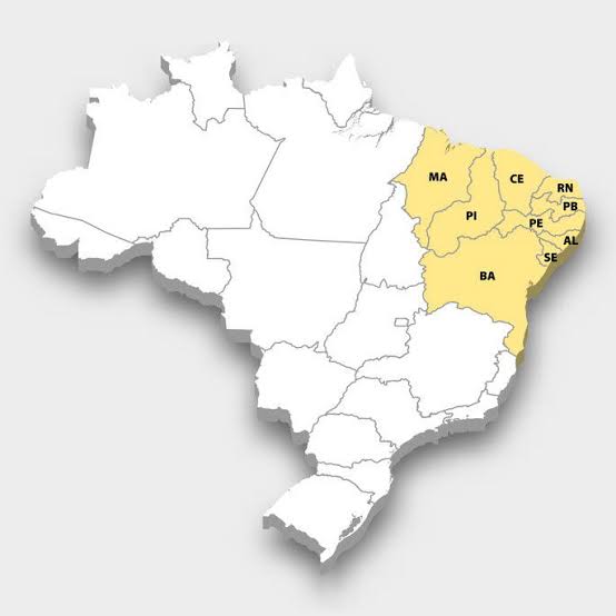 Mulher que sugeriu separar o Nordeste do Brasil tem condenação mantida