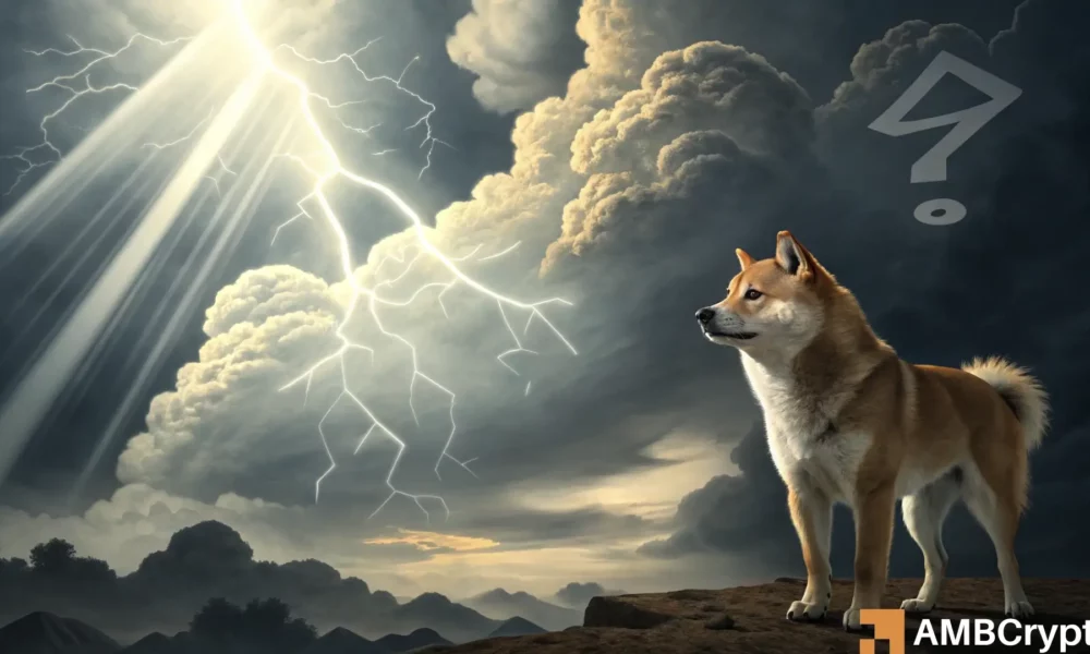 Shiba Inu Featured 1000x600.webp.webp