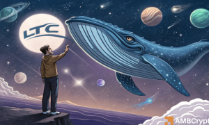 Whales Ltc 1000x600.png