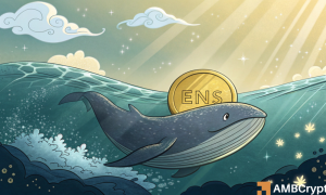Big Whale 1000x600.png