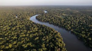 STF exige mais detalhes sobre plano de proteção da Amazônia e cobrança sobre recursos ambientais
