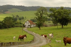 Morador de área rural não precisa pagar IPTU, apenas ITR, decide TJ-SP