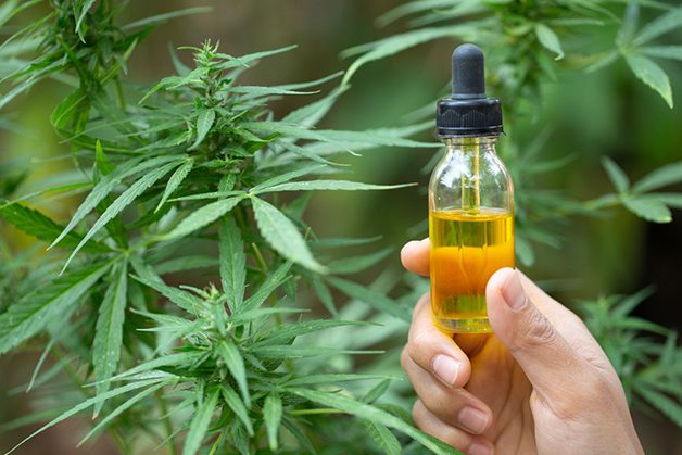 Juiz determina que prefeitura forneça tratamento à base de cannabis a paciente com esclerose múltipla