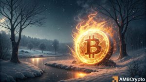 Bitcoin Fii.jpg