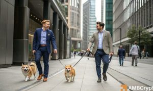 Doge 1000x600.jpg