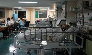 STF mantém transferência da gestão hospitalar para organizações sociais