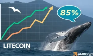 Litecoin Whales 1000x600.webp.webp