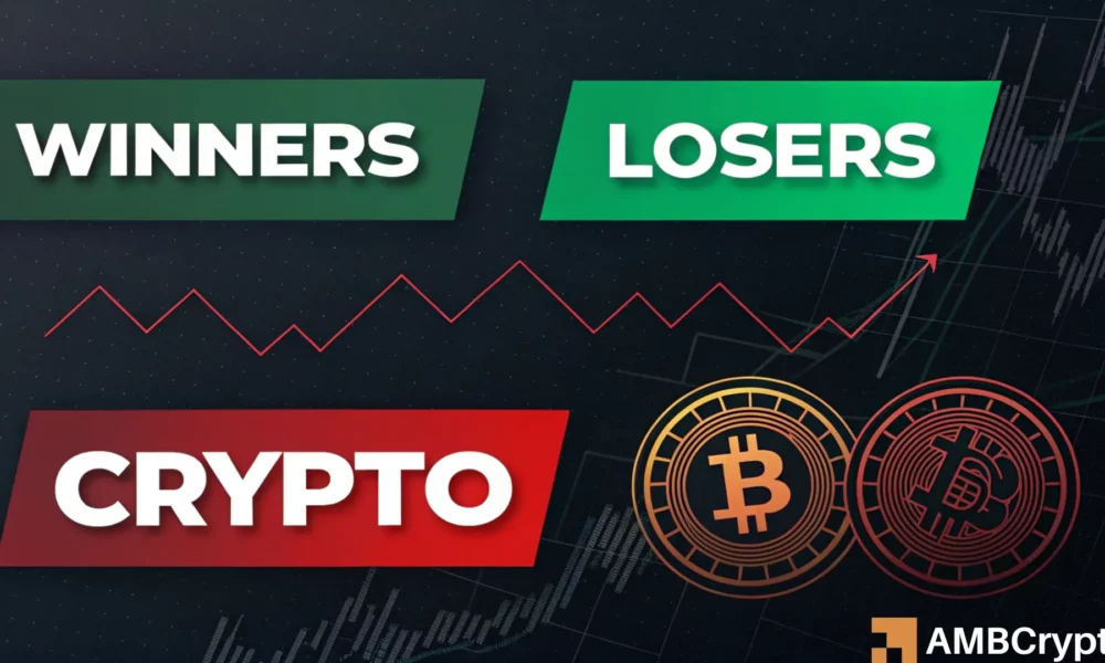 Winners And Losers 1000x600.webp.webp