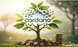 Cardano 1000x600.png