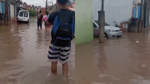 Chuva Sp 4.png