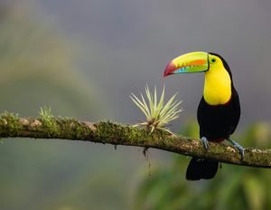 Dffbdf887b9b89dcd130aa4adfb6e76bfa96b580 4171x3232.jpg
