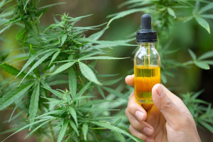 Juiz determina que prefeitura forneça tratamento à base de cannabis a paciente com esclerose múltipla