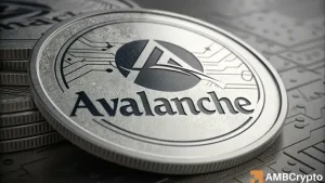 Avalanche 1.webp.webp