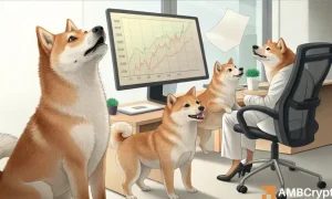 Shib 1 2 1000x600.webp.webp