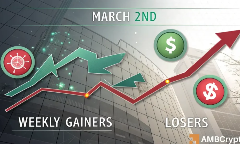 Winners And Losers 1 1000x600.webp.webp