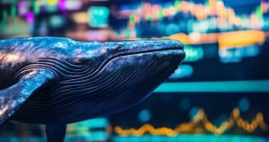 Whale trader.jpg