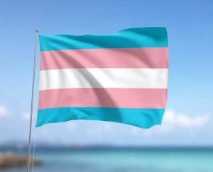 Entidades contestam no STF nova resolução do CFM que restringe acesso de pessoas trans a bloqueio hormonal