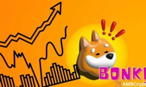 Bonk wp fi 1000x600.jpg